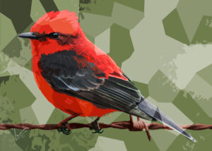 red bird